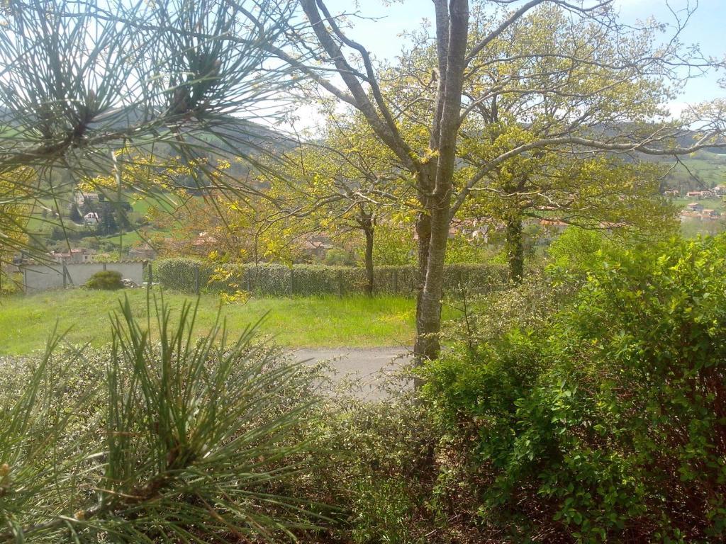 Le Panorama - Chambres D'Hotes - Cuisine Disponible Vieille-Brioude 外观 照片